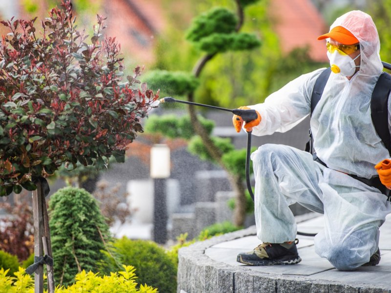 Çavdır Haşere İlaçlama